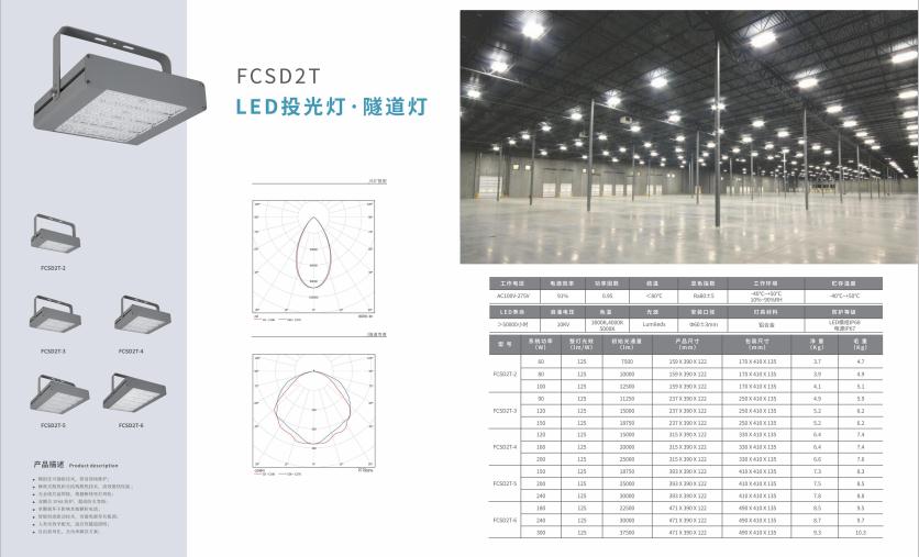 双湖投光灯 双湖投光灯